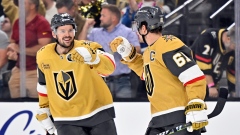 Tomas Hertl, Mark Stone