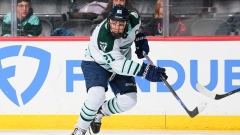Hilary Knight