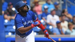 Vladimir Guerrero Jr.