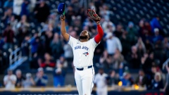 Vladimir Guerrero Jr.
