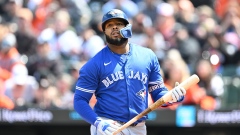 Vladimir Guerrero Jr.