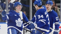 Toronto Maple Leafs Celebrate