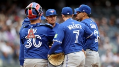 Toronto Blue Jays