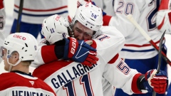 Brendan Gallagher and David Savard