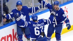 Toronto Maple Leafs Celebrate