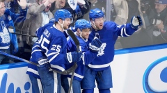 Toronto Maple Leafs celebrate
