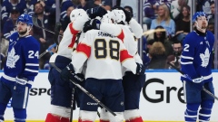 Florida Panthers celebrate
