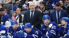 Craig Berube, Toronto Maple Leafs