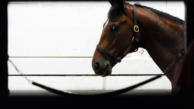 Journalism wins Preakness two weeks after finishing 2nd in Kentucky Derby Article Image 0, The Canadian Press Journalism wins Preakness two weeks after finishing 2nd in Kentucky Derby Article Image 0