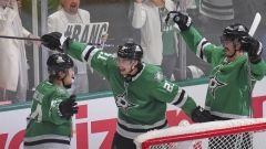 Dallas Stars celebrate