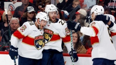 Florida Panthers celebrate