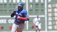 Vladimir Guerrero Jr.