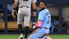 Vladimir Guerrero Jr.