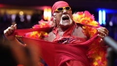 Hulk Hogan