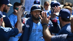 Vladimir Guerrero Jr.
