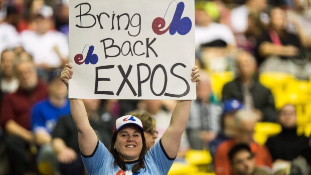 Montreal Baseball Fans