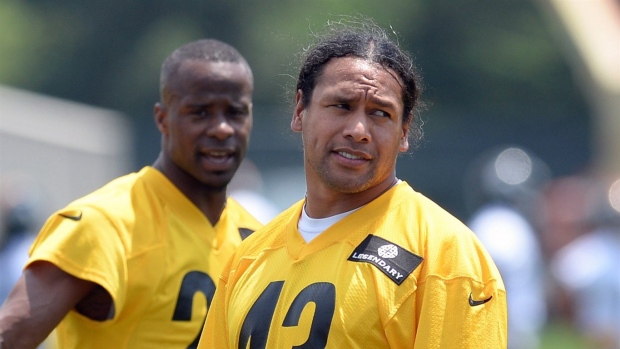 Troy Polamalu, The Canadian Press Troy Polamalu