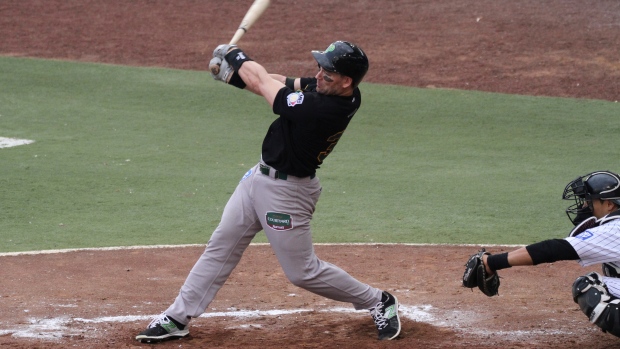 Luke Scott, Eduardo Gonzalez/STR/LatinContent WO/Getty Images Luke Scott