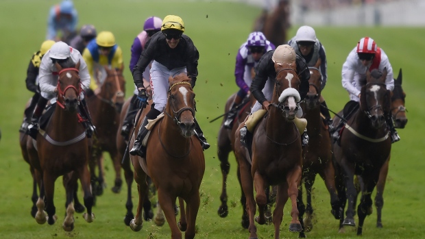 Horse racing, Christopher Lee/Getty Images Horse racing