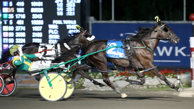 Wakizashi Hanover