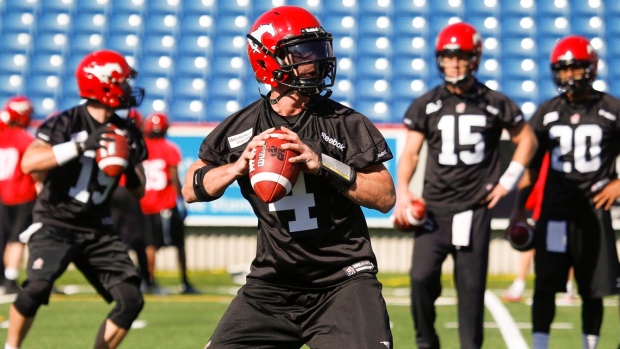 Calgary Stampeders open 2014 healthier because of McMahon's new turf Article Image 0