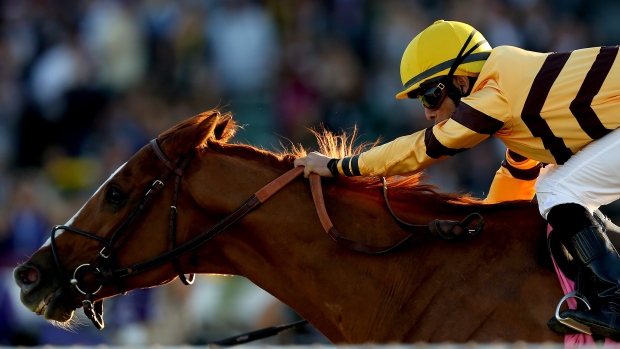 Wise Dan