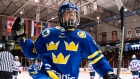 NHL Draft - Alexander Nylander