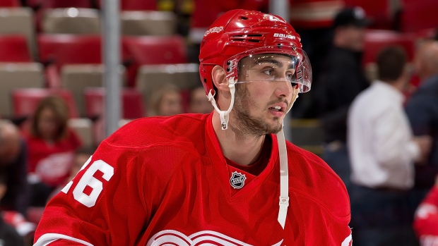 Tomas Jurco, Dave Reginek/National Hockey League/Getty Images Tomas Jurco