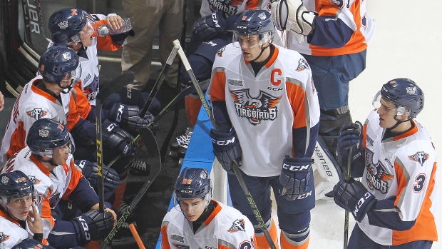 Flint Firebirds, Claus Andersen/Getty Images Flint Firebirds