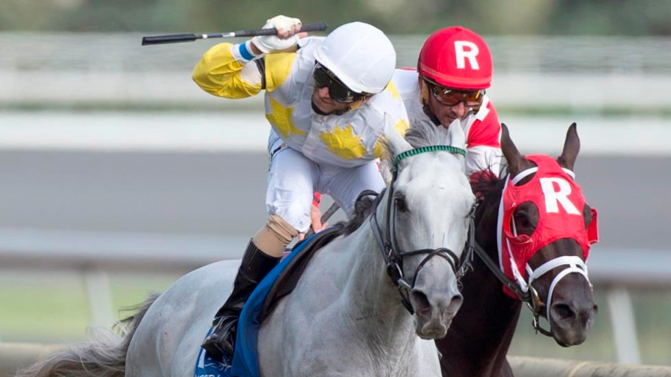 2023 Horse Racing Broadcast Schedule