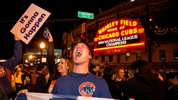 Chicago Cubs Fan