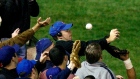 Steve Bartman