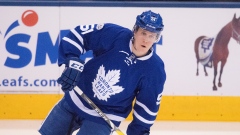 Jake Gardiner, Icon Sportswire/Icon Sportswire/Getty Images Jake Gardiner