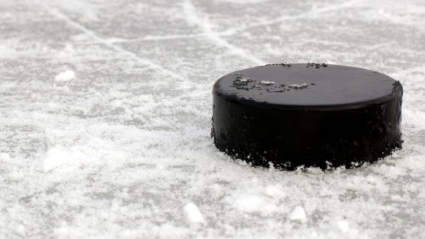 Hockey puck, TSN 1040 Hockey puck