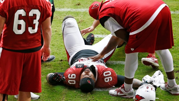Darnell Dockett, The Canadian Press Darnell Dockett