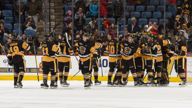 Hamilton Bulldogs celebrate, OHL/Hamilton Bulldogs Hamilton Bulldogs celebrate