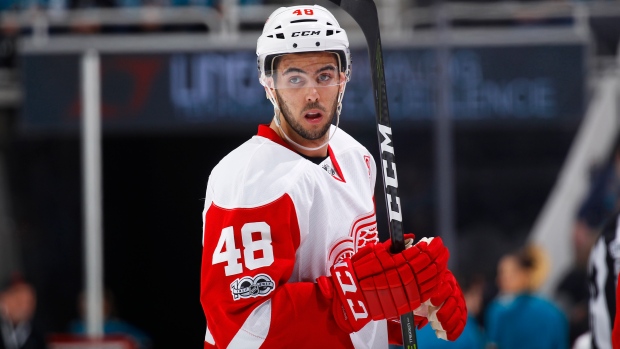 Detroit Red Wings v San Jose Sharks, Rocky W. Widner/NHL/Getty Images Detroit Red Wings v San Jose Sharks
