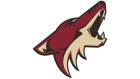 Arizona Coyotes