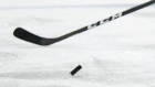 Hockey