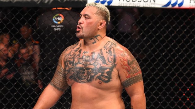 Mark Hunt, Josh Hedges/Zuffa LLC/UFC/Getty Images Mark Hunt