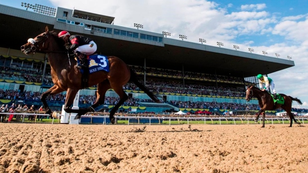Woodbine Racetrack, The Canadian Press Woodbine Racetrack