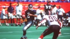 Doug Flutie