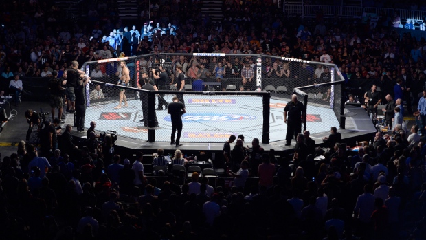 UFC Octagon