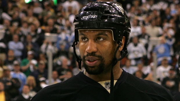 Georges Laraque, Bruce Bennett/Getty Images Georges Laraque