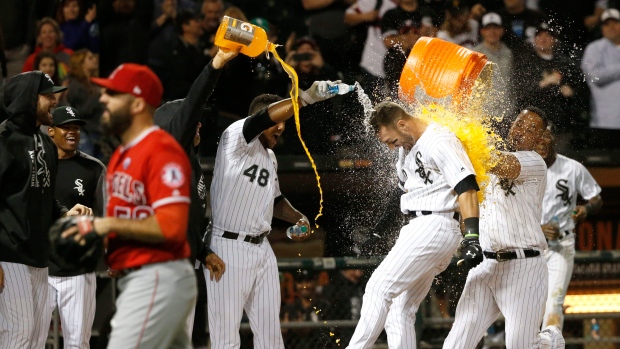 Chicago White Sox celebrate, The Canadian Press Chicago White Sox celebrate