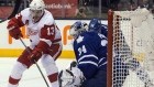 Pavel Datsyuk James Reimer