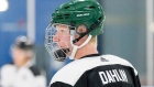 Rasmus Dahlin