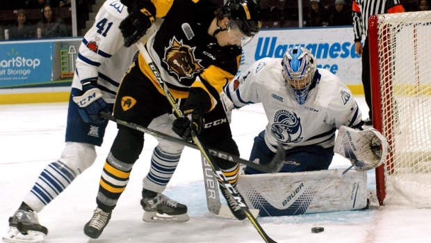 Hamilton Bulldogs making 'win now' moves in pursuit of Memorial Cup Article Image 0