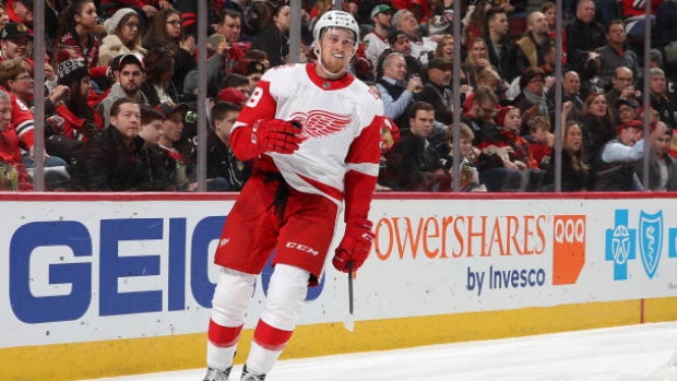 Anthony Mantha, Chase Agnello-Dean/NHLI via Getty Images Anthony Mantha