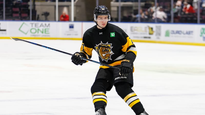 Leafs prospect Danford talks lottery win, meeting Chayka and path to the NHL